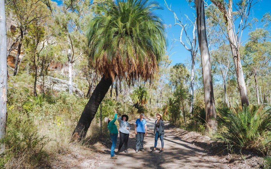 Picture 1 for Activity Roma: Lost World Carnarvons and Wallaroo Day Tour