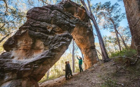 Roma: Lost World Carnarvons and Wallaroo Day Tour