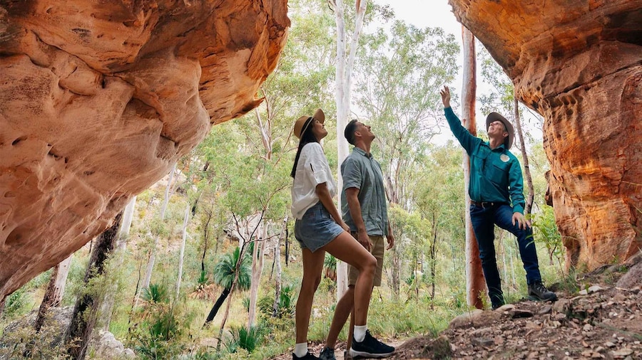 Roma: Lost World Carnarvons and Wallaroo Day Tour
