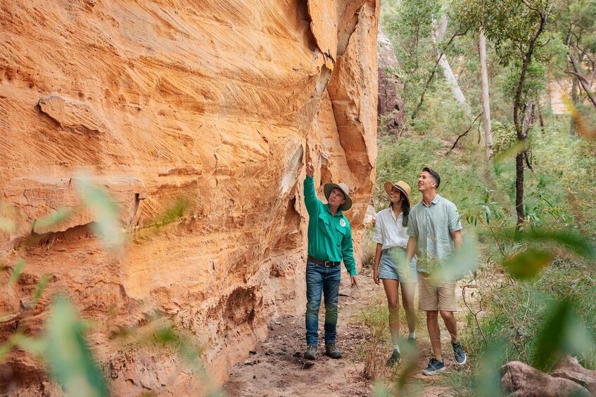 Picture 3 for Activity Roma: Lost World Carnarvons and Wallaroo Day Tour