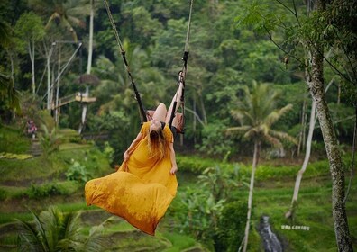 Ubud: Tegalalang Rice Terrace Photos Tour with Swing Ticket