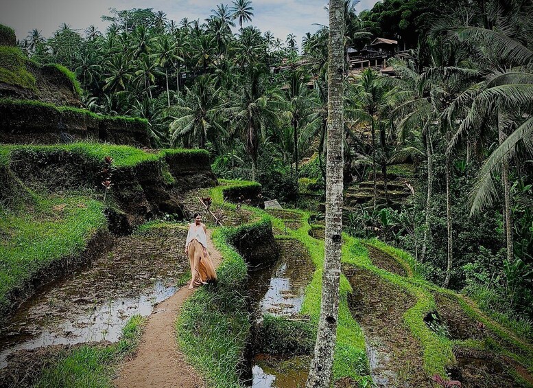 Picture 3 for Activity Ubud: Tegalalang Rice Terrace Photos Tour with Swing Ticket