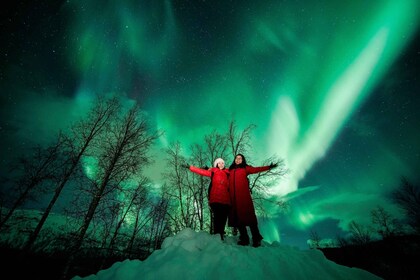 Desde Tromsø: recorrido por la aurora boreal