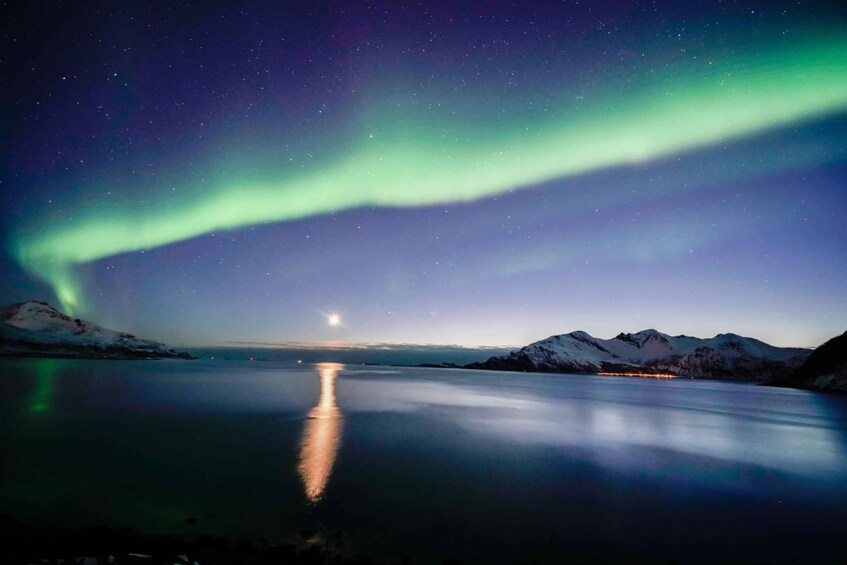 Picture 9 for Activity From Tromsø: Aurora Borealis Tour