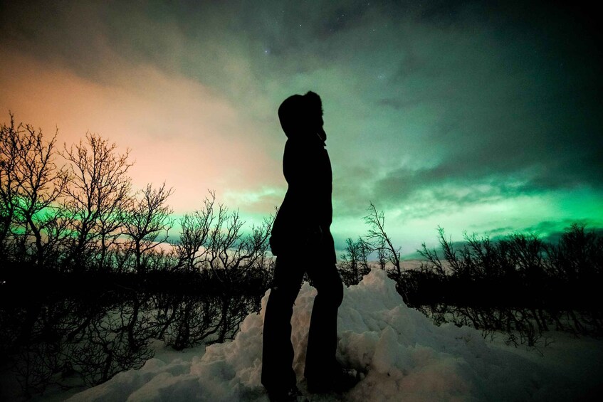 Picture 4 for Activity From Tromsø: Aurora Borealis Tour