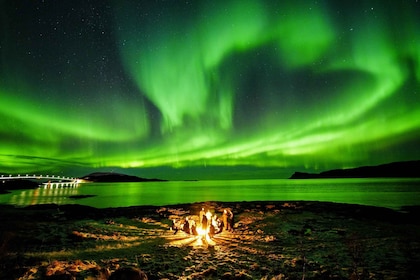 From Tromsø: Aurora Borealis Tour