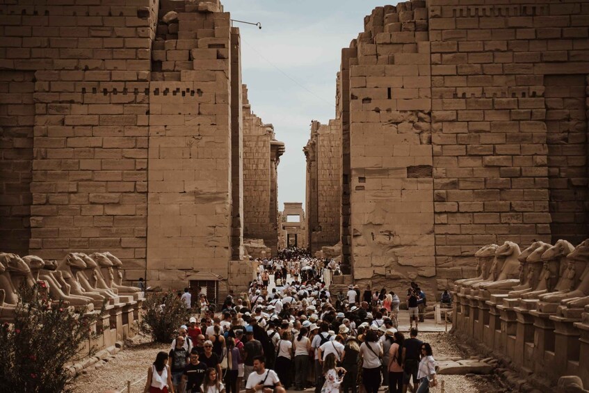 Picture 3 for Activity Private tour of Luxor and Karnak Temple