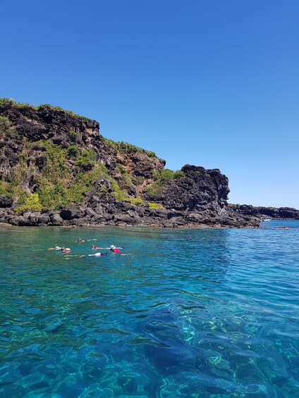 Picture 5 for Activity Coin de Mire 2-Hour Private Snorkeling Trip