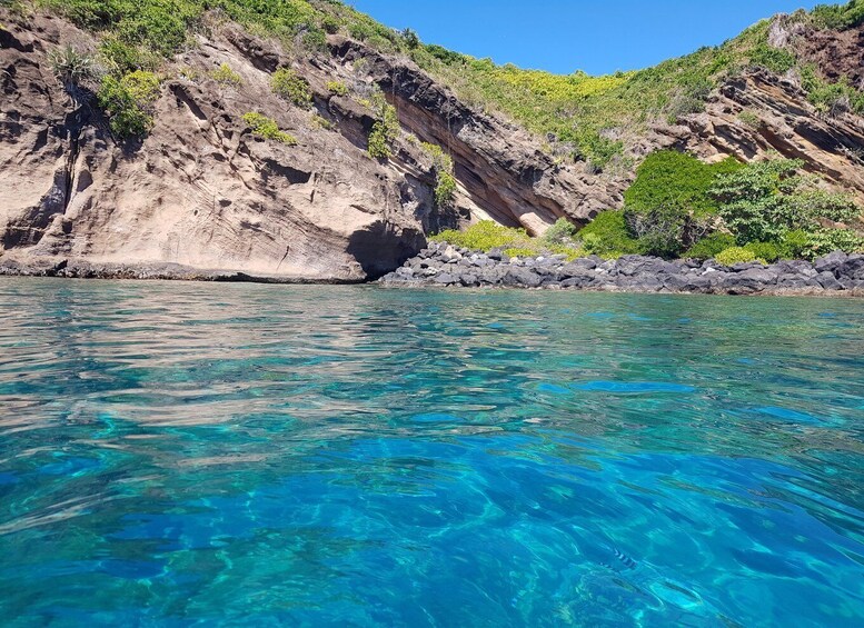 Picture 6 for Activity Coin de Mire 2-Hour Private Snorkeling Trip