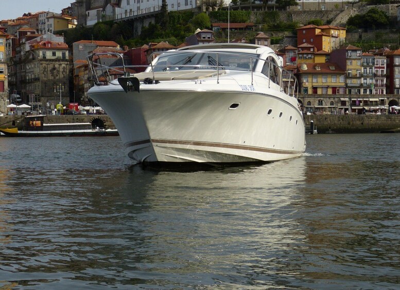 Picture 3 for Activity Private Yacht Charter
