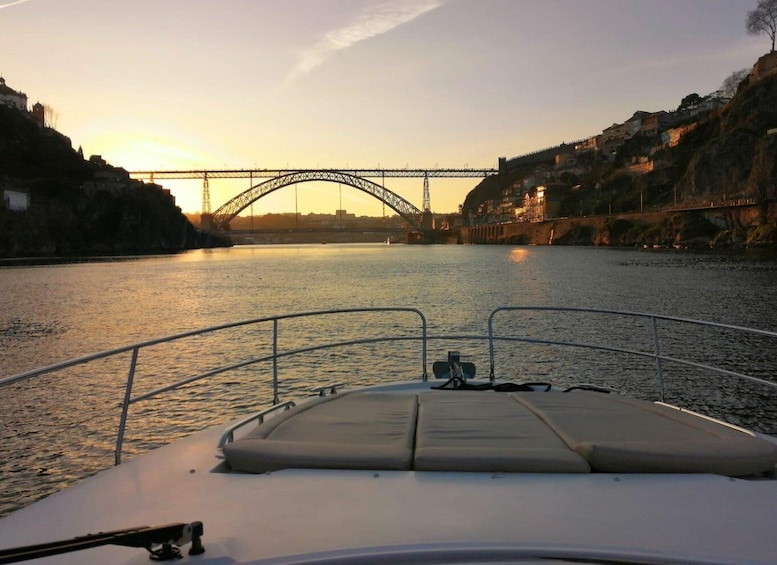 Picture 8 for Activity Private Yacht Charter