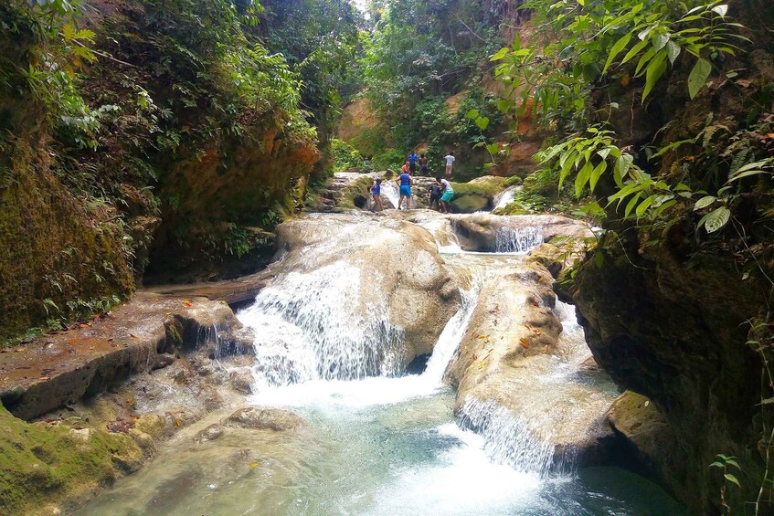 Picture 1 for Activity From Montego Bay: Island Gully Falls and Blue Hole Tour