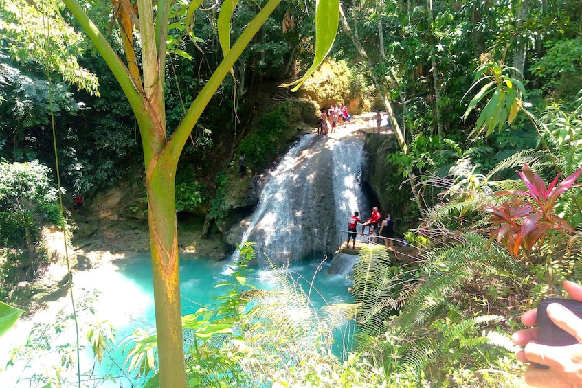 Picture 5 for Activity From Montego Bay: Island Gully Falls and Blue Hole Tour