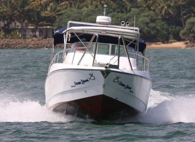 Desde Mirissa: Excursión exclusiva para avistar ballenas y delfines