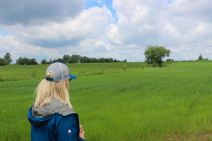 Picture 5 for Activity Quebec City - Agricultural Walking Tour on Ile d'Orléans