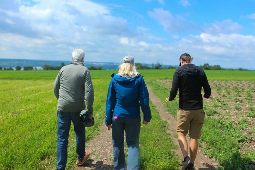 Picture 4 for Activity Quebec City - Agricultural Walking Tour on Ile d'Orléans