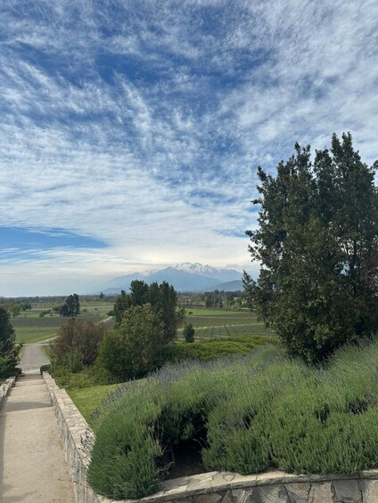 Picture 26 for Activity Maipo Valley Wine Tour
