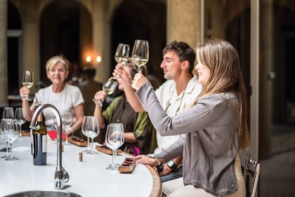 Wein-Tour Maipo-Tal
