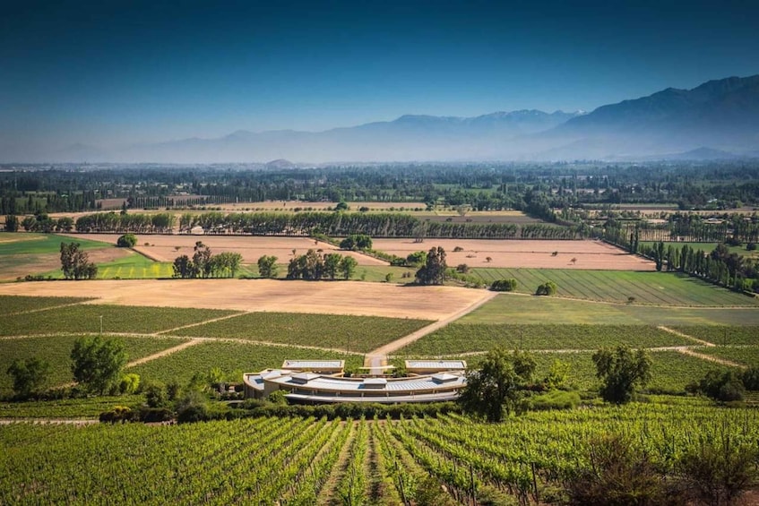 Picture 37 for Activity Wine Tour Maipo Valley