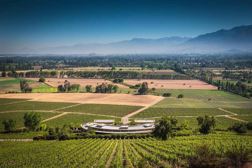 Picture 37 for Activity Wine Tour Maipo Valley