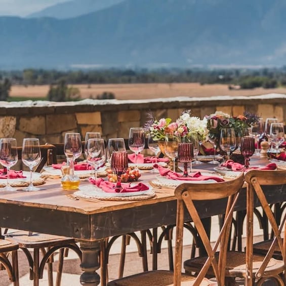 Picture 23 for Activity Wine Tour Maipo Valley