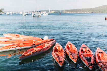 Manly: Mini Kayak Tour on Sydney's North Harbour