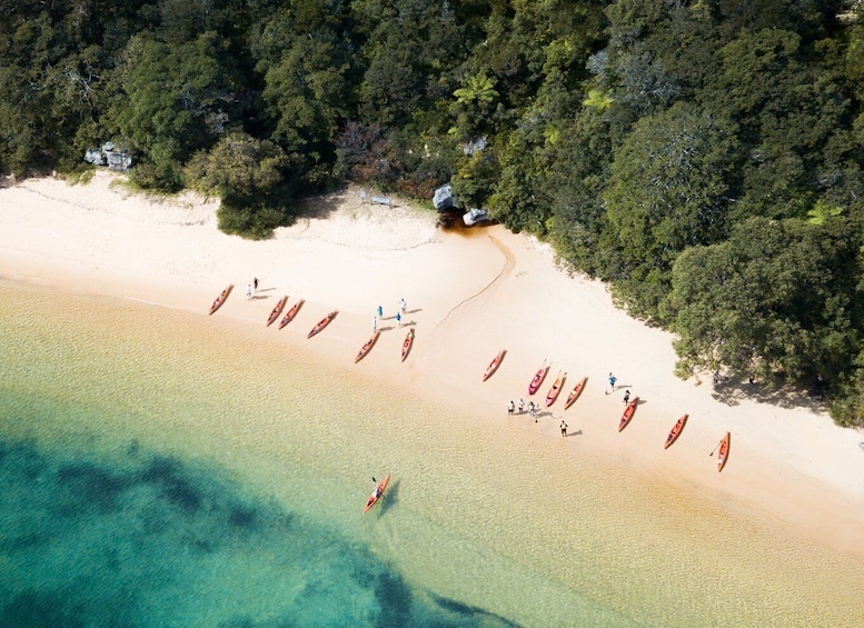 Picture 4 for Activity Manly: Mini Kayak Tour on Sydney's North Harbour