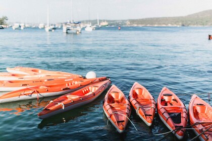 Manly: Mini kajakktur på Sydneys nordlige havn