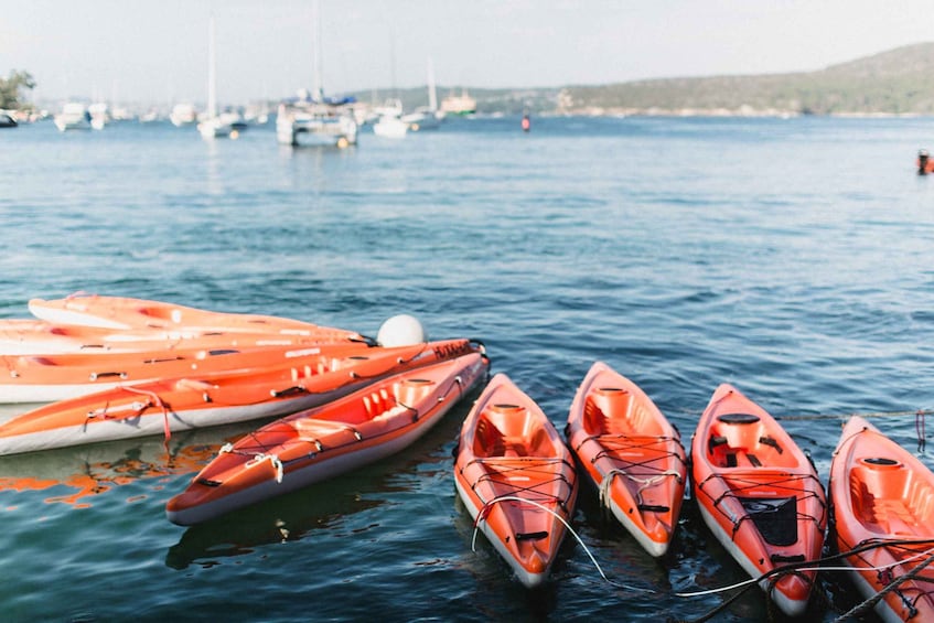 Manly: Mini Kayak Tour on Sydney's North Harbour