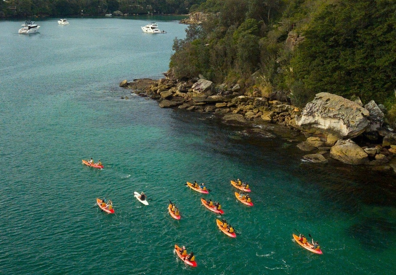 Picture 3 for Activity Manly: Mini Kayak Tour on Sydney's North Harbour