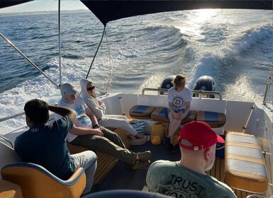 Galle : Mirissa Majesty : Baleines et dauphins exclusifs croisière