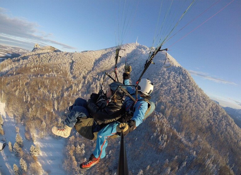 Picture 4 for Activity Salzburg like an eagle: tandem paragliding from Gaisberg