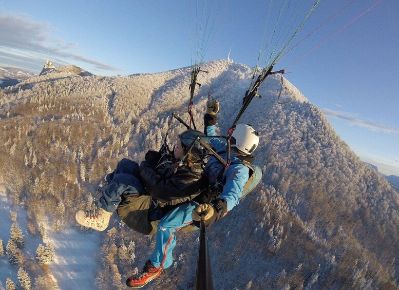 Picture 4 for Activity Salzburg like an eagle: tandem paragliding from Gaisberg