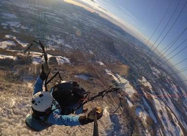 Top of Salzburg: tandem paragliding flight from Gaisberg