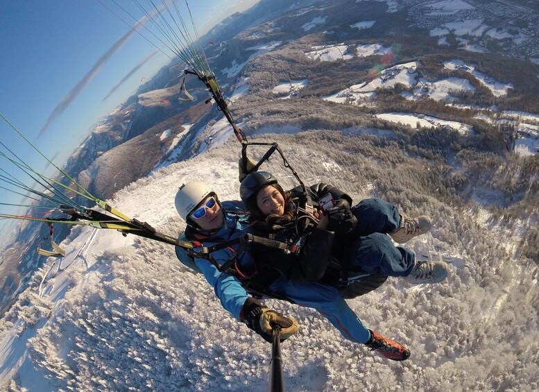 Picture 5 for Activity Salzburg like an eagle: tandem paragliding from Gaisberg