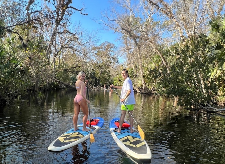 Picture 22 for Activity Longwood: Guided Wekiva River Paddleboarding Tour