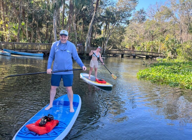 Picture 27 for Activity Longwood: Guided Wekiva River Paddleboarding Tour