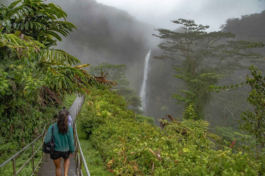 Picture 14 for Activity Private - All Inclusive Big Island Waterfalls Tour