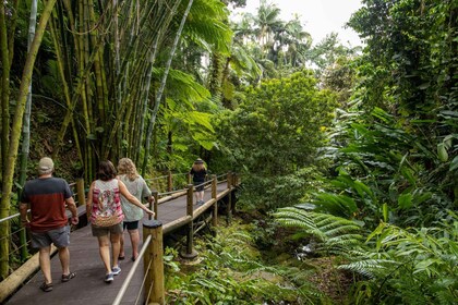 Private - All-inclusive Big Island Waterfalls Tour