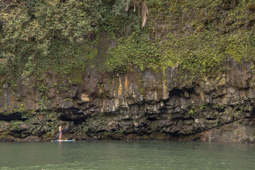 Picture 7 for Activity Private - All Inclusive Big Island Waterfalls Tour