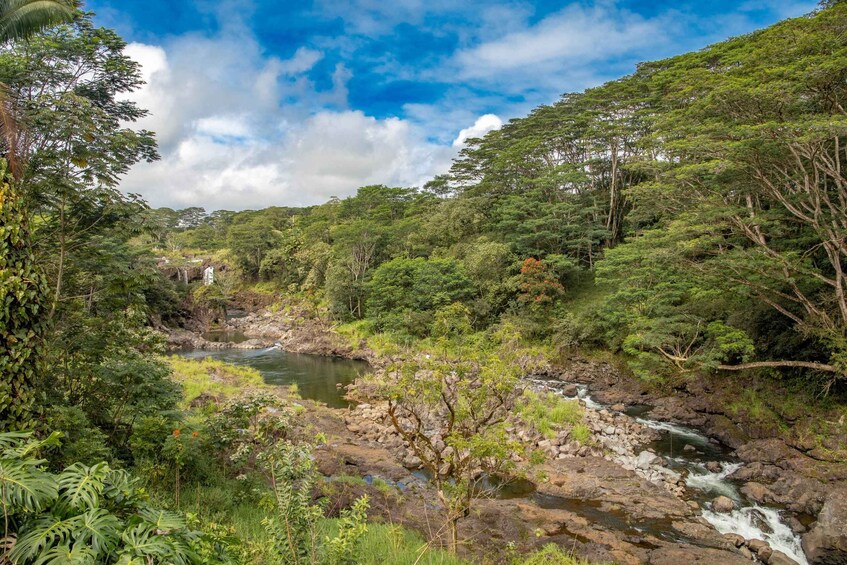 Picture 2 for Activity Private - All Inclusive Big Island Waterfalls Tour