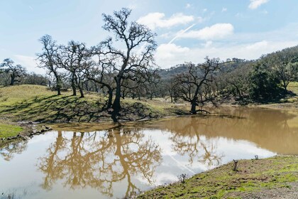 San Luis Obispo: Santa Lucia Guided Nature Tour