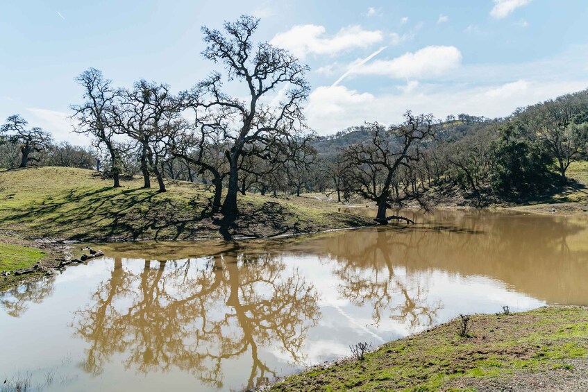 Picture 1 for Activity San Luis Obispo: Santa Lucia Guided Nature Tour by Hummer