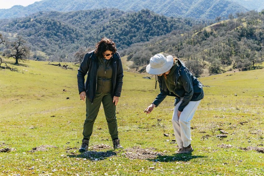 Picture 11 for Activity San Luis Obispo: Santa Lucia Guided Nature Tour by Hummer