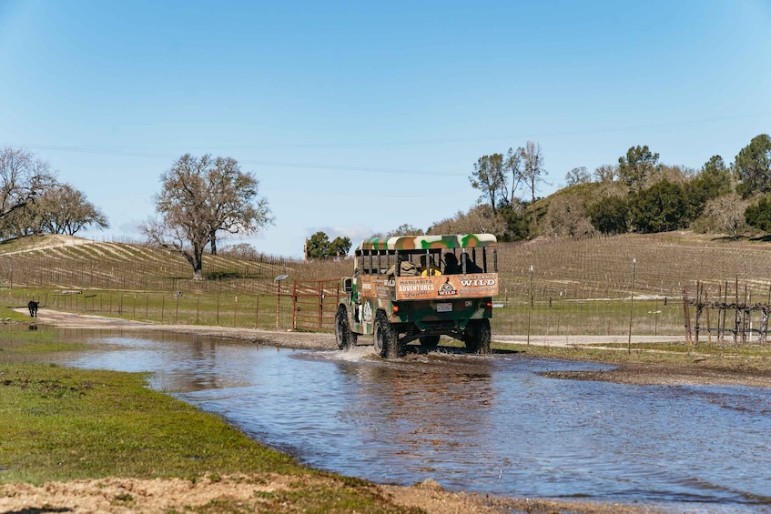 Picture 5 for Activity San Luis Obispo: Santa Lucia Guided Nature Tour