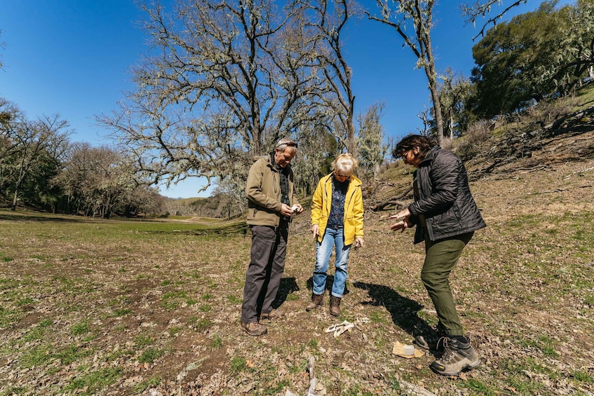 Picture 3 for Activity San Luis Obispo: Santa Lucia Guided Nature Tour