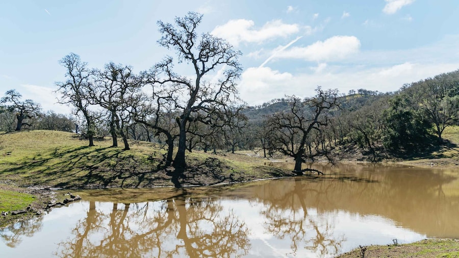San Luis Obispo: Santa Lucia Guided Nature Tour