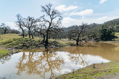 San Luis Obispo: Santa Lucia Guided Nature Tour