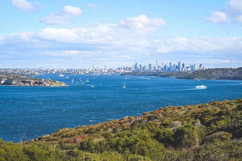 Picture 2 for Activity Sydney: Private Half or Full-Day Sightseeing Tour