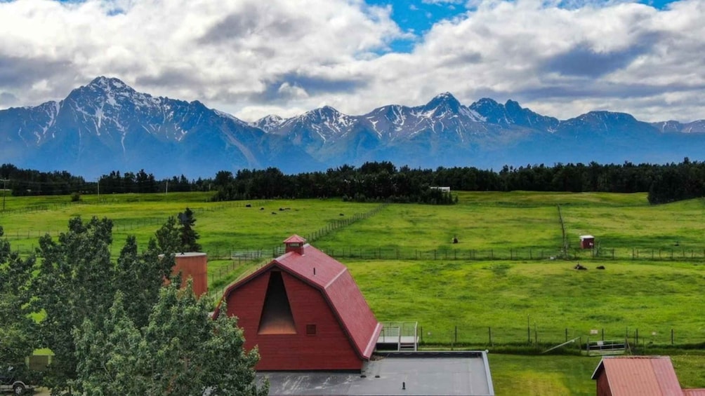 Picture 1 for Activity From Anchorage: Scenic Drive and Guided Musk Ox Farm Tour